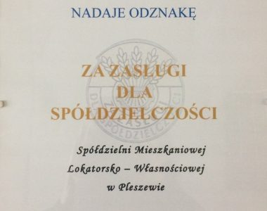 Dyplom SMLW w  Pleszewie